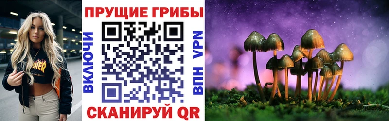 kraken как зайти  Пушкино  Псилоцибиновые грибы GOLDEN TEACHER 