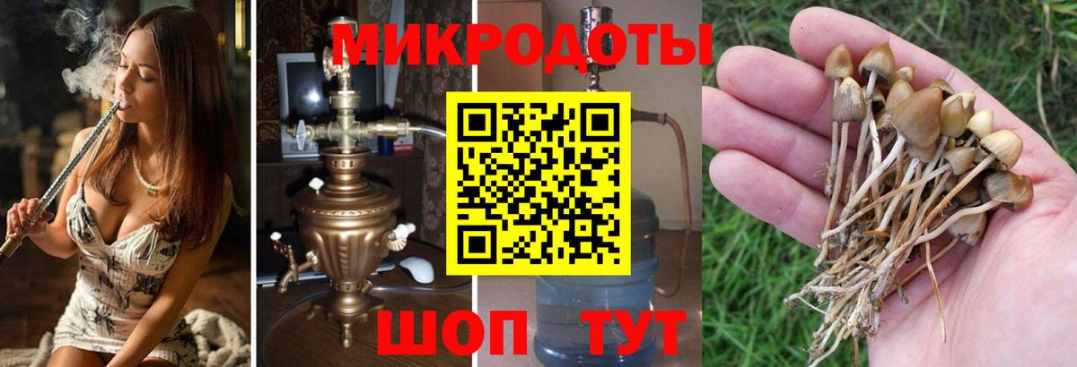 Галлюциногенные грибы прущие грибы Пушкино