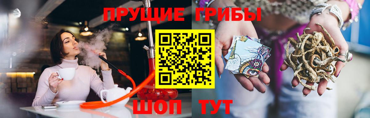 Галлюциногенные грибы MAGIC MUSHROOMS  Галлюциногенные грибы мухоморы  Пушкино  Вход с VPN 